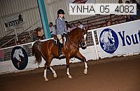 ynha_05_4082 thumbnail