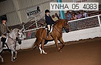 ynha_05_4083 thumbnail