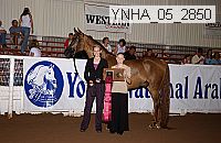 ynha_05_2850 thumbnail