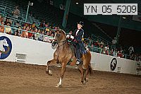 yn_05_5209 thumbnail