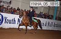 ynha_05_1815 thumbnail