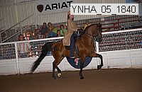 ynha_05_1840 thumbnail