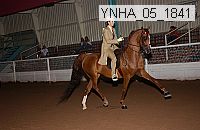 ynha_05_1841 thumbnail