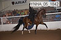 ynha_05_1842 thumbnail