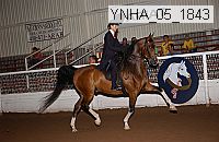 ynha_05_1843 thumbnail