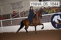 ynha_05_1844 thumbnail