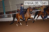 ynha_05_1845 thumbnail