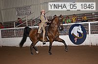 ynha_05_1846 thumbnail