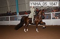 ynha_05_1847 thumbnail
