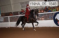 ynha_05_1848 thumbnail