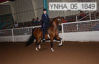 ynha_05_1849 thumbnail