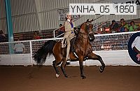 ynha_05_1850 thumbnail