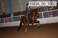 ynha_05_1902 thumbnail
