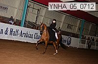 ynha_05_0712 thumbnail