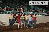 yn_05_4619 thumbnail
