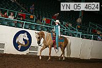 yn_05_4624 thumbnail