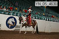 yn_05_4630 thumbnail