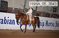 ynha_05_3843 thumbnail