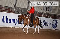 ynha_05_3844 thumbnail