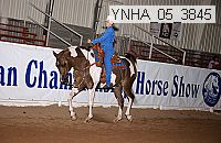 ynha_05_3845 thumbnail