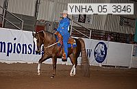 ynha_05_3846 thumbnail