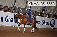 ynha_05_3850 thumbnail