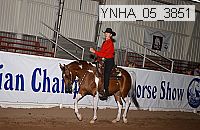 ynha_05_3851 thumbnail