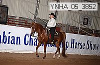 ynha_05_3852 thumbnail