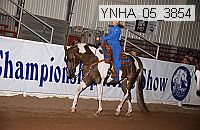 ynha_05_3854 thumbnail