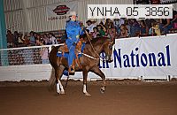 ynha_05_3856 thumbnail