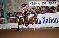 ynha_05_3858 thumbnail