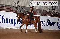 ynha_05_3859 thumbnail