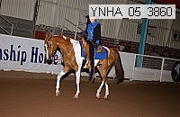 ynha_05_3860 thumbnail