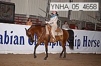 ynha_05_4658 thumbnail
