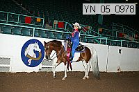 yn_05_0978 thumbnail