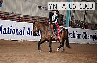ynha_05_5050 thumbnail