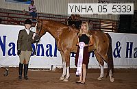 ynha_05_5339 thumbnail