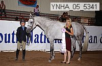 ynha_05_5341 thumbnail