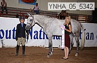 ynha_05_5342 thumbnail