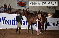 ynha_05_5343 thumbnail