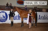 ynha_05_5347 thumbnail