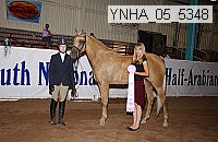 ynha_05_5348 thumbnail