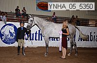 ynha_05_5350 thumbnail