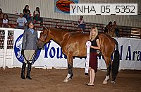 ynha_05_5352 thumbnail