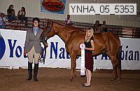 ynha_05_5353 thumbnail