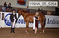 ynha_05_5354 thumbnail