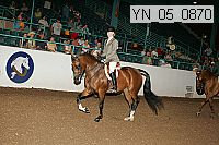 yn_05_0870 thumbnail