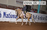 ynha_05_2238 thumbnail