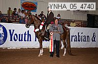 ynha_05_4740 thumbnail