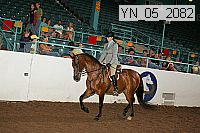 yn_05_2082 thumbnail